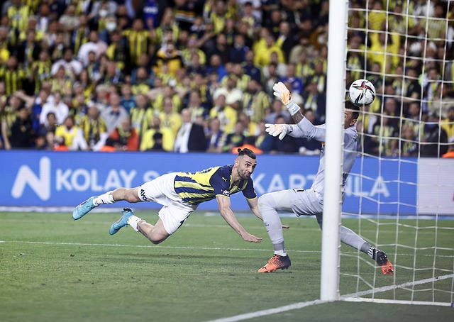 德生涯為例 德生涯為例