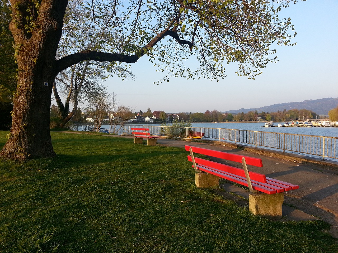 球隊豈能錯 球隊豈能錯