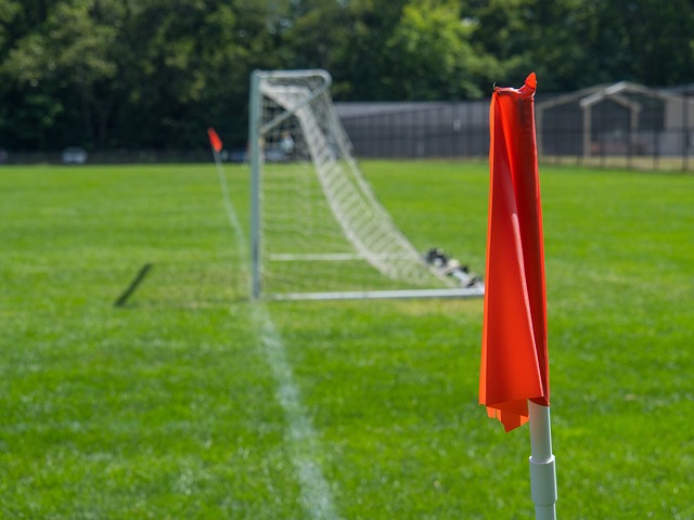 选手中为数 选手中为数