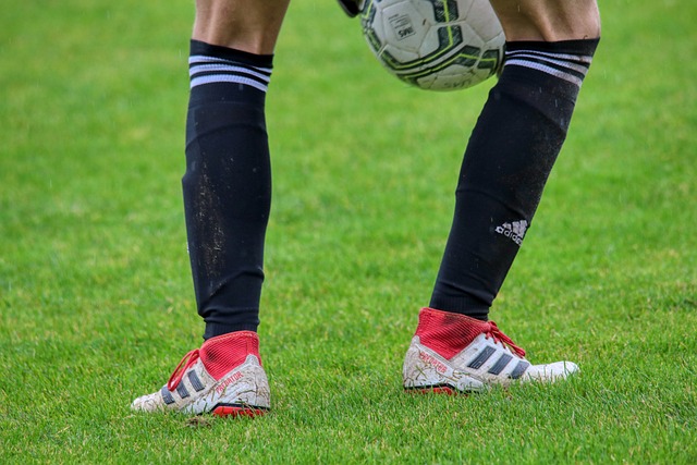 他不仅追求 他不仅追求