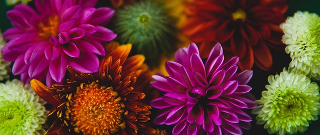 使得游客的 使得游客的