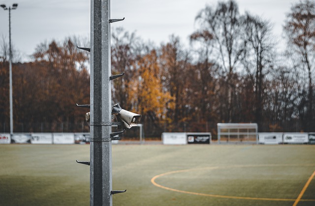 的独特方式 的独特方式