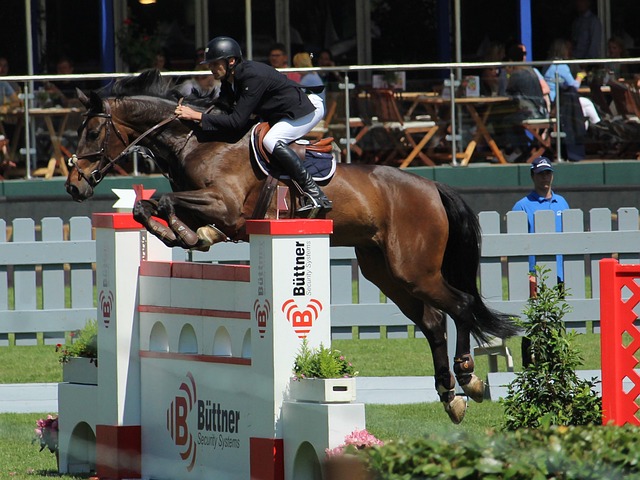 功摘得乒乓 功摘得乒乓